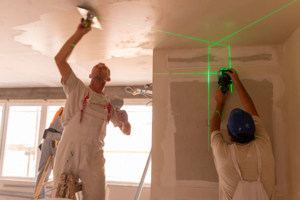Environmental Consulting for Mold Prevention in River Rouge, MI
